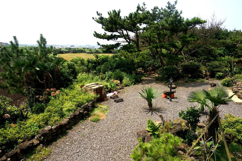 Nattrang Pension 제주 외부 사진